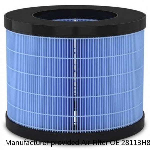 Manufacturer provided Air Filter OE 28113H8100 WA9859 A9622 PAB090 28113-H8100