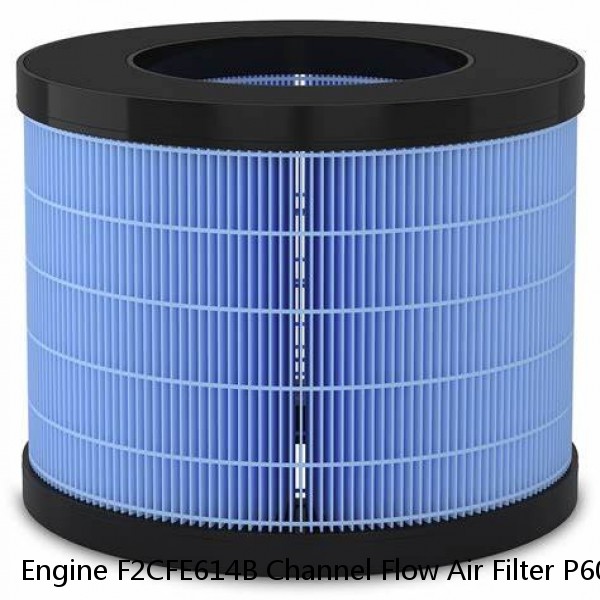 Engine F2CFE614B Channel Flow Air Filter P608667
