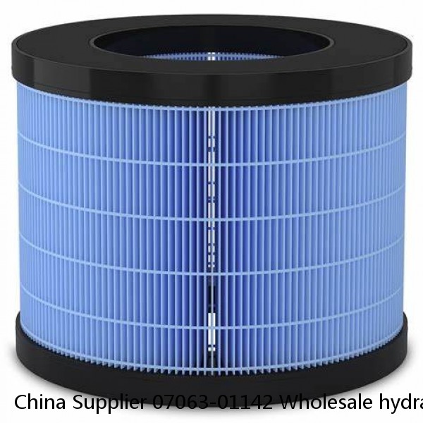 China Supplier 07063-01142 Wholesale hydraulic oil pilot filter #1 small image