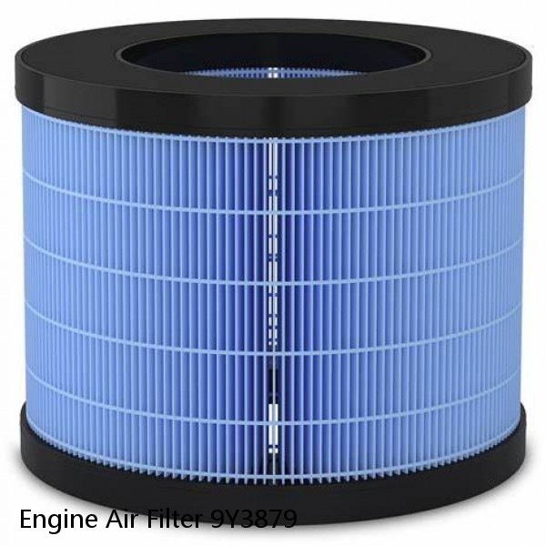Engine Air Filter 9Y3879 #1 small image