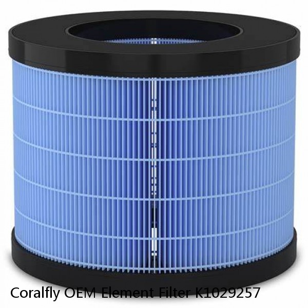 Coralfly OEM Element Filter K1029257 #1 small image