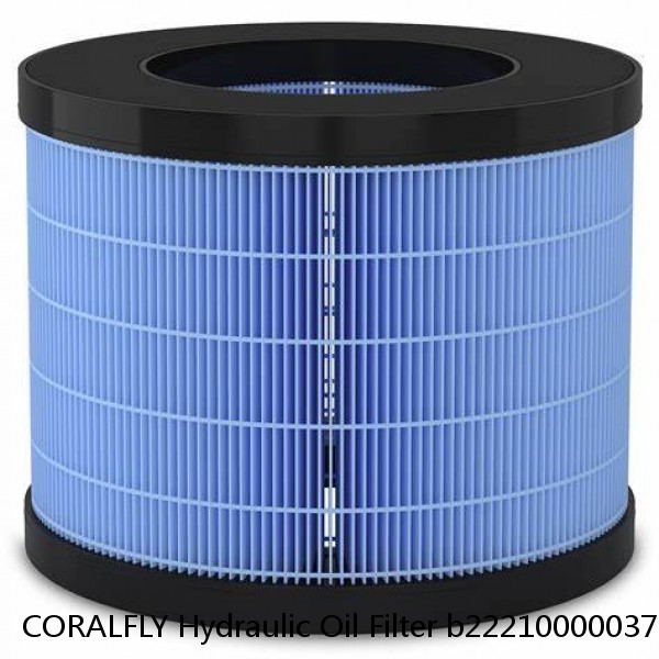 CORALFLY Hydraulic Oil Filter b222100000377 #1 small image