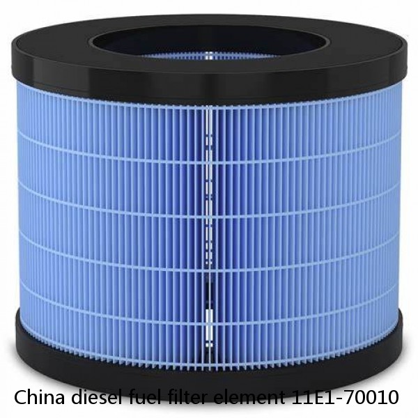 China diesel fuel filter element 11E1-70010