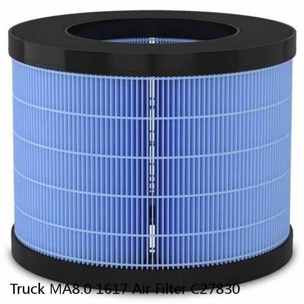 Truck MA8.0 1617 Air Filter C27830 #1 image