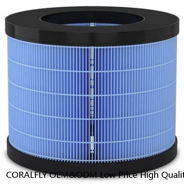 CORALFLY OEM&ODM Low Price High Quality Fuel Filter 20430751 FF5507 P550739 BF7814 7420972291 7420875666 #1 image