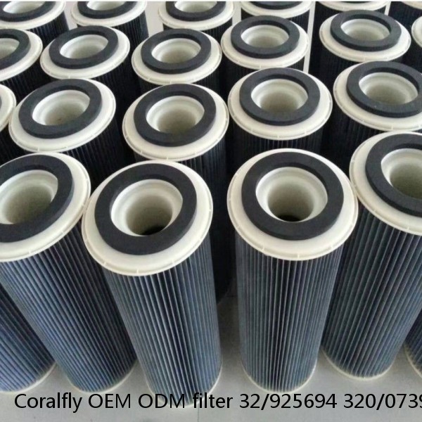 Coralfly OEM ODM filter 32/925694 320/07394 320/07458 for JCB engine fuel filter #1 image